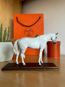 Miniatura de Cavalo - (