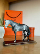 Miniatura de Cavalo - (