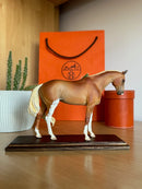 Miniatura de Cavalo - (