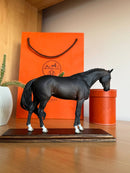 Miniatura de Cavalo - (