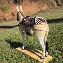 Miniatura Mula com Arreio Banana Completo – Artesanal