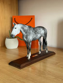 Miniatura de Cavalo - (